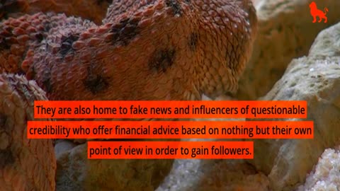 Protect Yourself from Frauds, Scams and Fake Financial Advice on Social Media