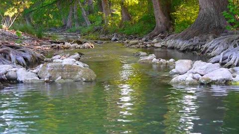 Texas River