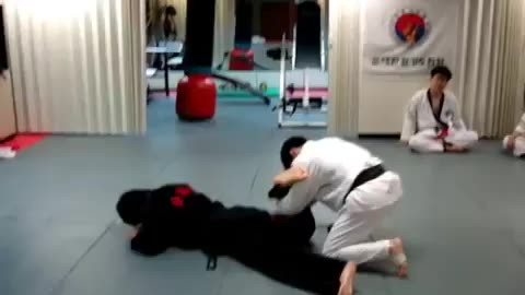 Hapkido