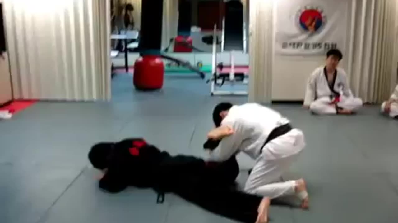 Hapkido