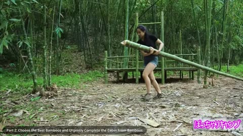 30 Days to Build a Bamboo Cabin, Stove, and Vegetable Garden/ Military Survival Skills