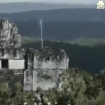 WTF - This Weeks WTF Is This?