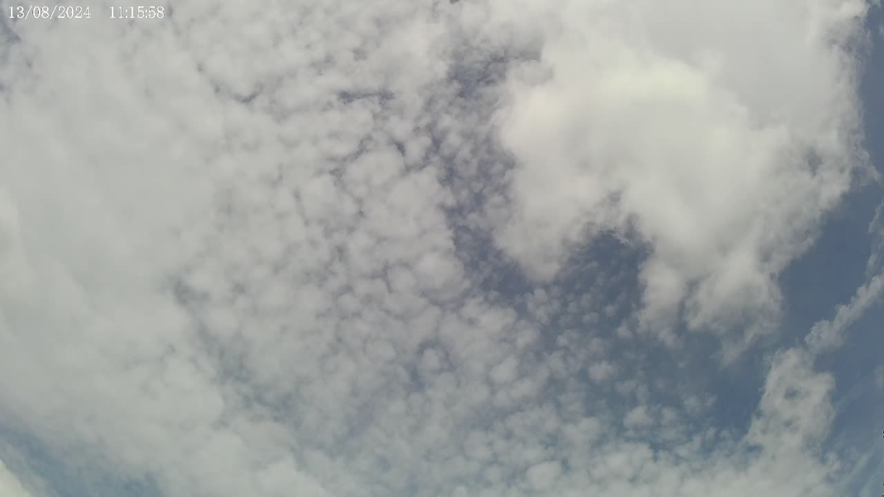 Sky Watch #239 - 12/8/2024