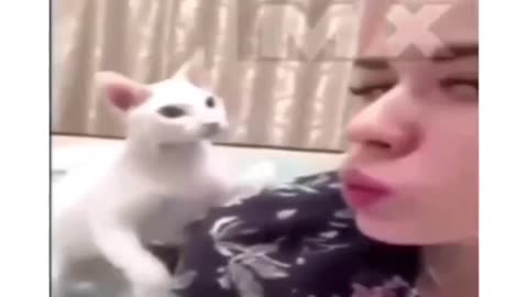 Cat Are Hilarious😂 | Top Funny August Cat Video