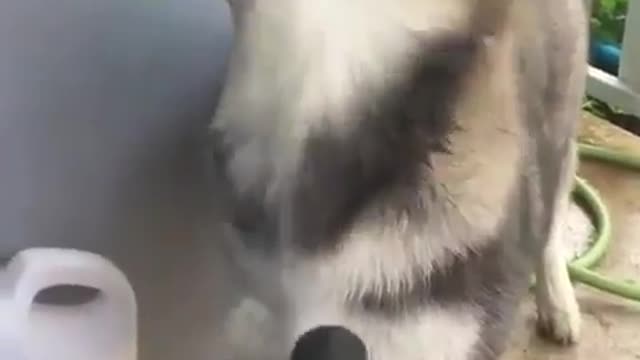 The expression brightened