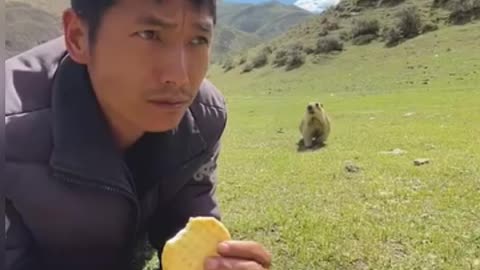 Funny Animal Video 2023 😂😂 - Funniest Cats and Dogs Video...#rumble