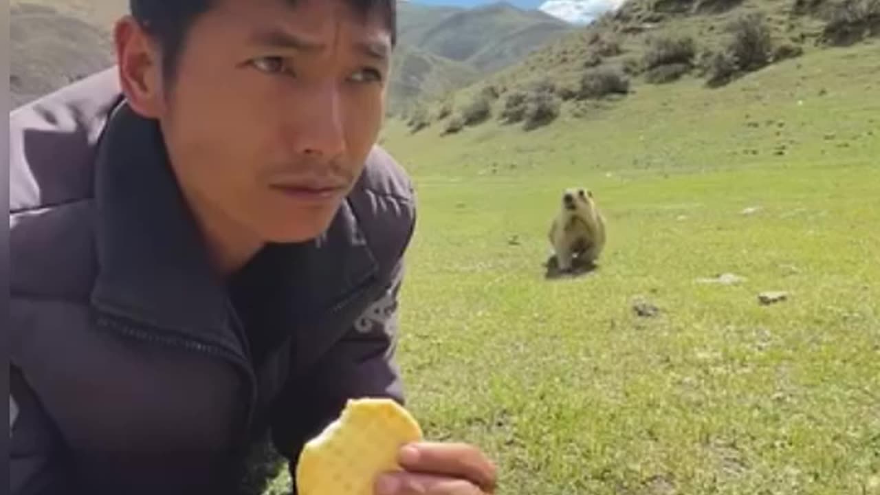 Funny Animal Video 2023 😂😂 - Funniest Cats and Dogs Video...#rumble