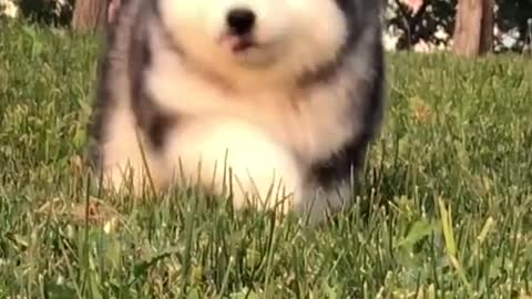 ❤❤❤❤❤