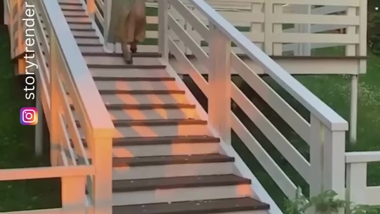 Viral funny video