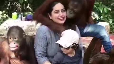 Play with monkeys