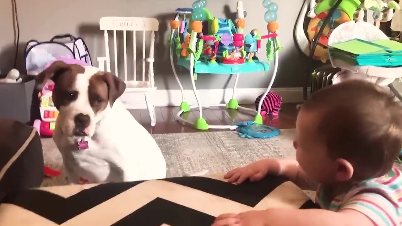 funny babies