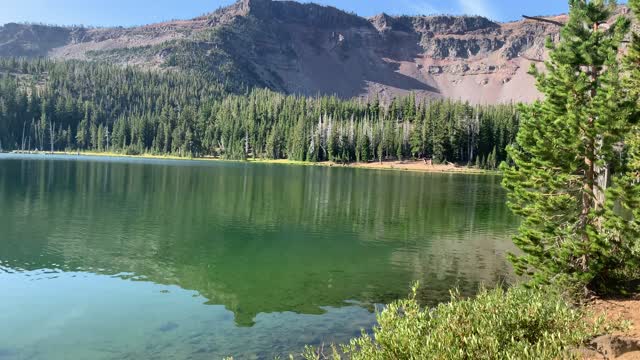 Central Oregon - Little Three Creek Lake - Walking the Shoreline - 4K