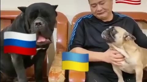 Jak je to vlastně s tou hrdinnou Ukrajinou