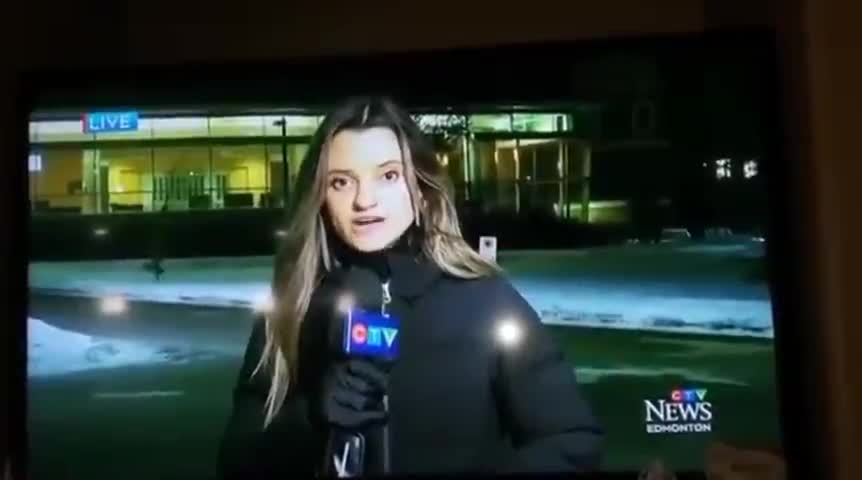 Canada: Reporter Jessica Robb suffers a 'medical coincidence' live on air..