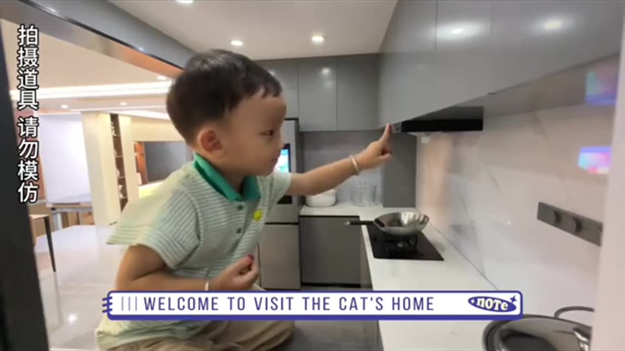 Welcome to visit the cat's home