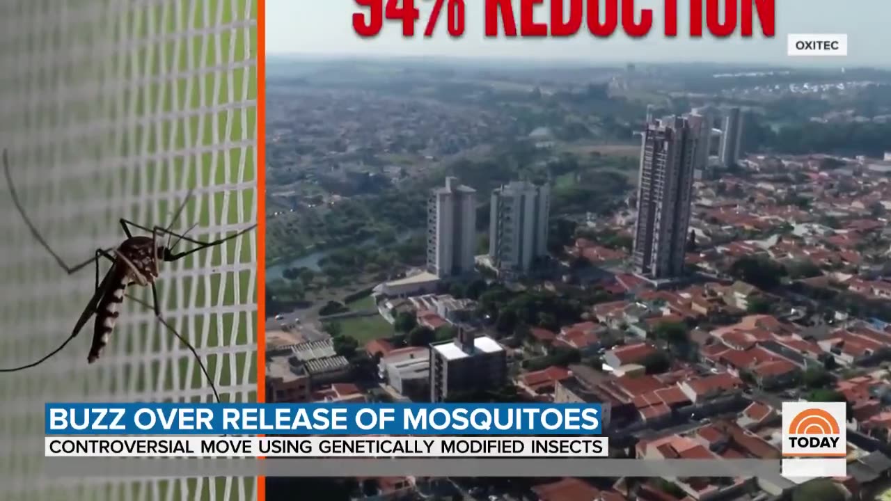 Reminder: Genetically Modified Mosquitoes To Be Released in Florida Keys Experiment.