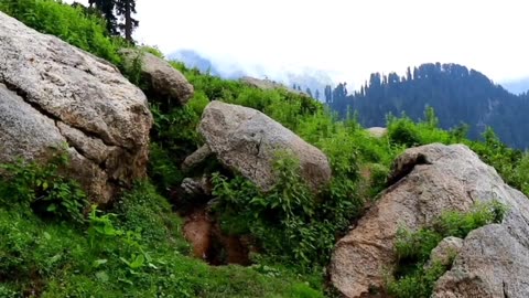 Gabin jaba,Swat, Khyber pakhtunkhwa, Pakistan.