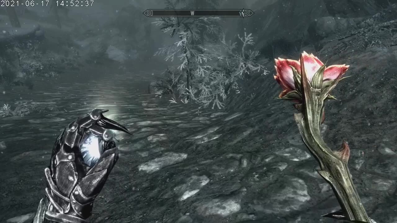 The Elder Scrolls 5 Skyrim Female Orc Karen D'Orc Part 214
