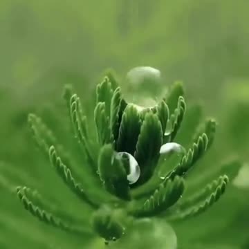 Beauty in every moment 🍀🍀🍀