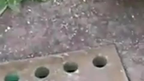 Funny Fails Compilation # 172