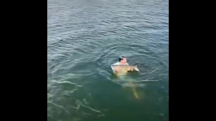 Dad Jumps in the Water to Catch Huge Fish for his Kids