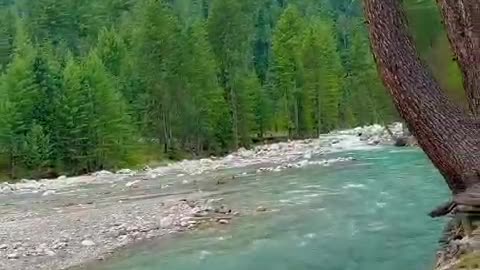 Beautiful river