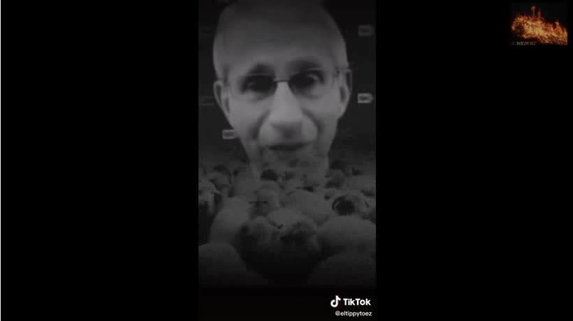 The Same If Not Worse. Look at Isreal