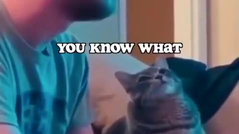 A wholesome cat moment 🥰