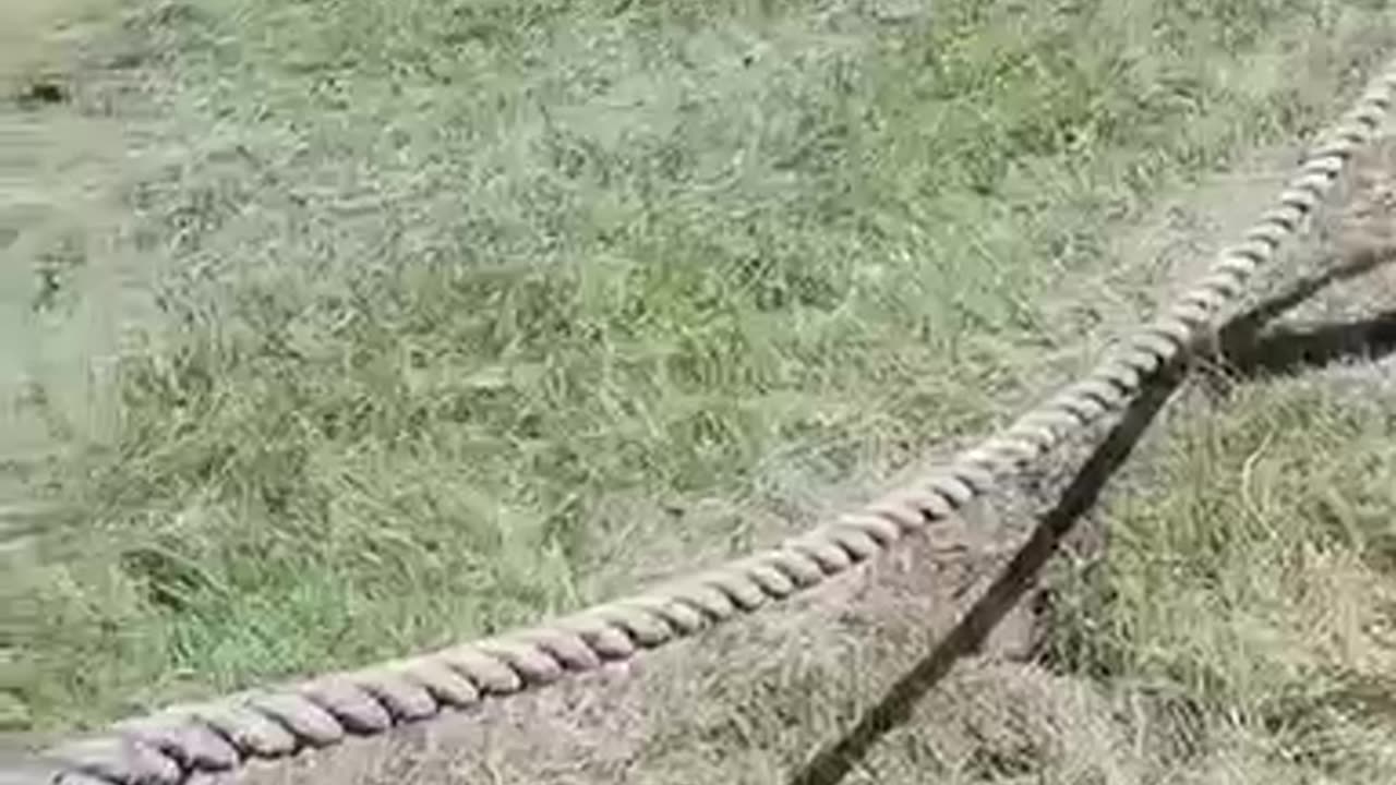 Ukraine Footage - 08/14/23