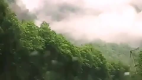 The real heaven , Chaloos road