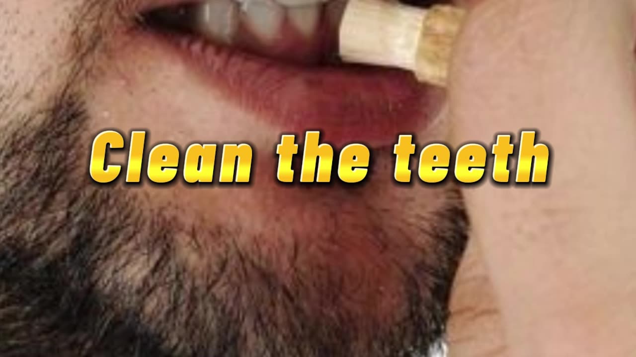 Benefits of Doing miswak #miswak #benefits #islamicguide #islam