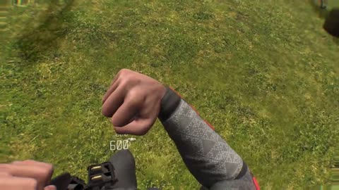 This do be america doe