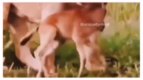 What would be the best title for this video 📸?