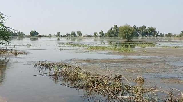 flood in pakistan | flood 2022 | Disaster