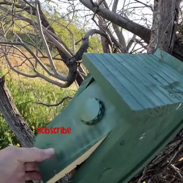 Could thiis geocache be in the birdhouse? Let's find out