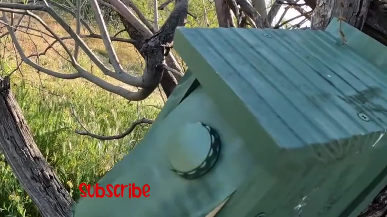 Could thiis geocache be in the birdhouse? Let's find out