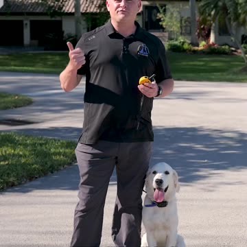 Which Dog Was Trained Using the E-Collar?