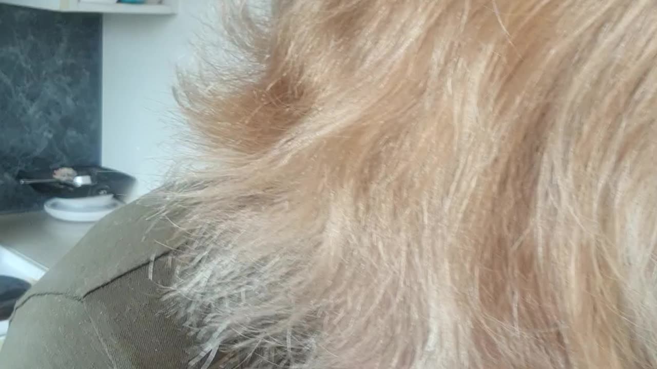 How to make insect repellent