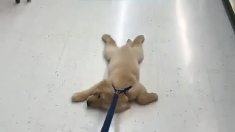 Todays Mood