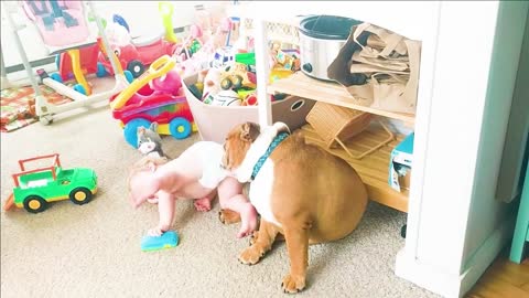 Cute Pets & Babies