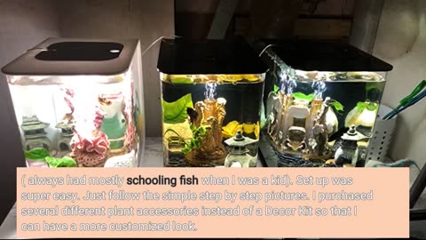 Flow 30 #Aquarium with Standard Light - 8-Overview