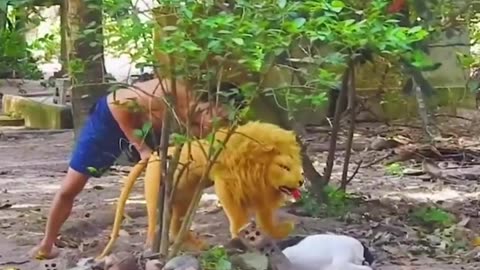 Lion prank with dog