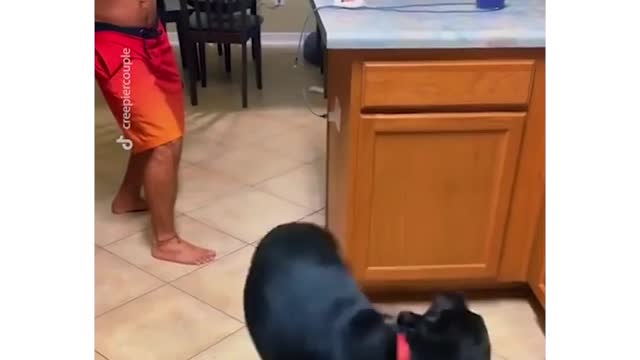 A oscar actor playing with his hooman