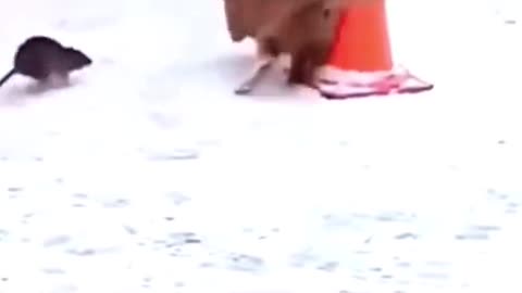 A day without laughter is a day without meaning🤣🤣🤣🤣🤣🤣