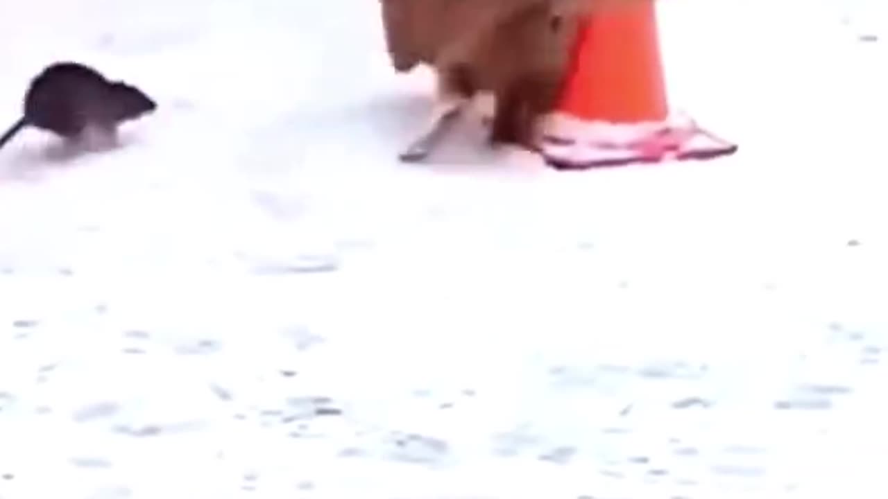 A day without laughter is a day without meaning🤣🤣🤣🤣🤣🤣