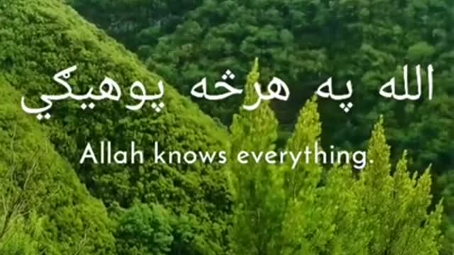 The Belief on Allah for what he has give us