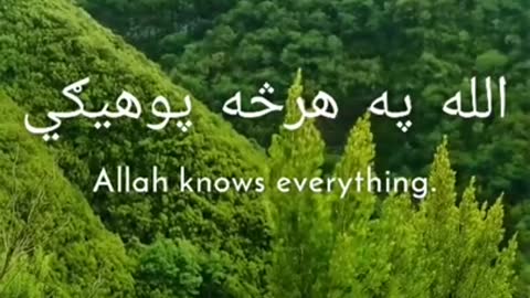 The Belief on Allah for what he has give us