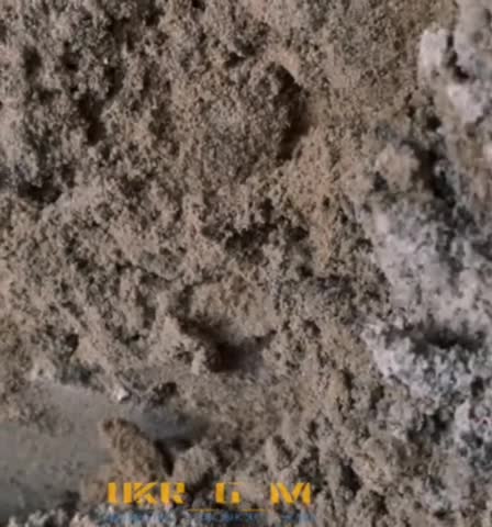 Along the entire front