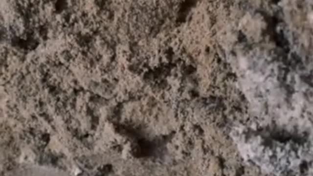 Along the entire front