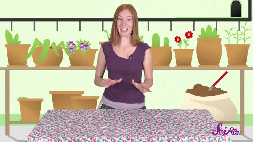 Make Your Own Erosion! - #sciencegoals